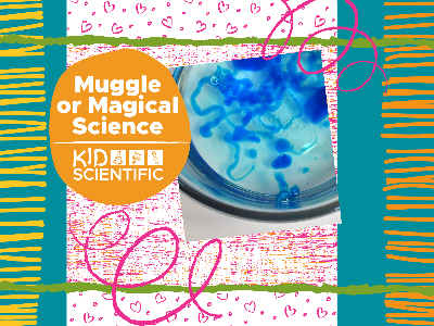 Muggle or Magical Science Workshop (5-12 Years)